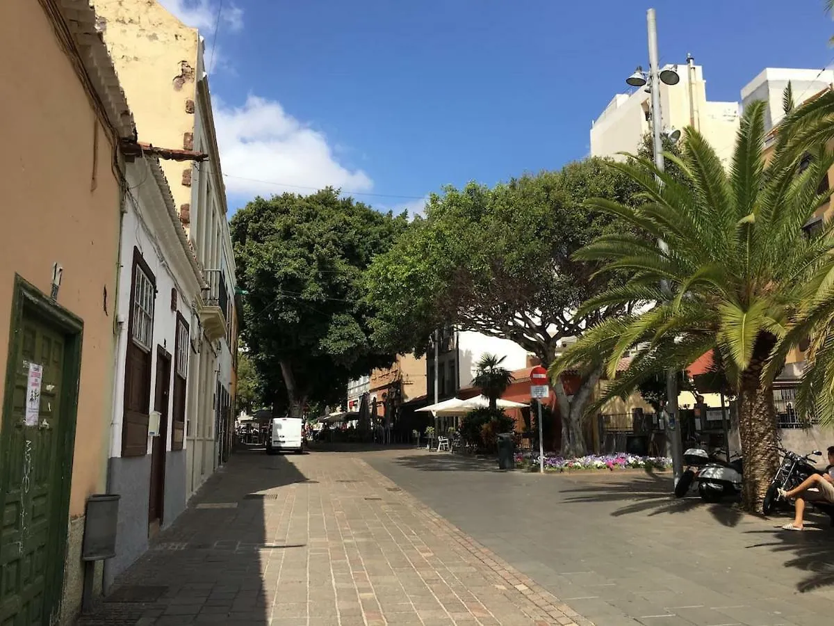 Apartmán Orchideas House Centrico Y Acogedor Vacacional En Santa Cruz